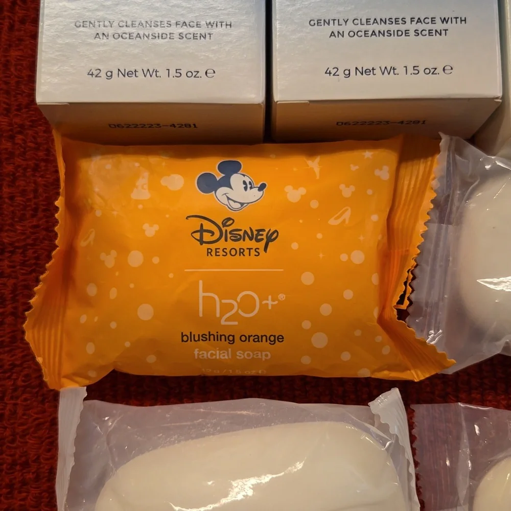 Disney Resorts H20+ facial soap bundle sea salt